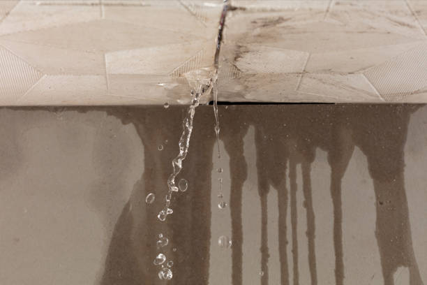 Professional Water Damage Repair technician working in Hampton, MN